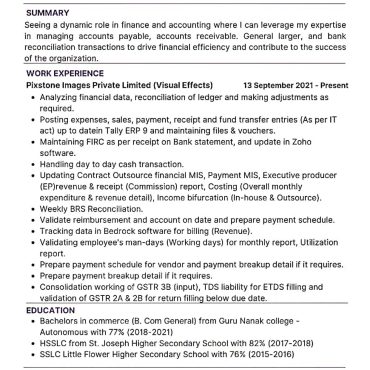 17357-Senior Accountant