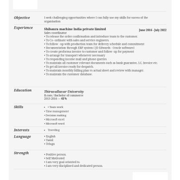 17145-Sales Executive