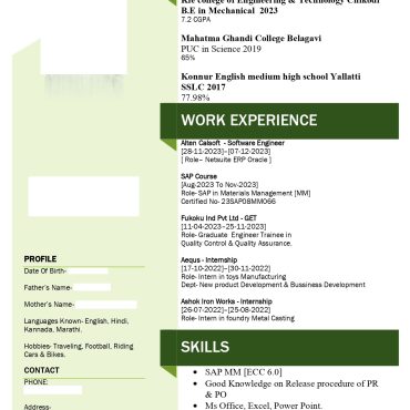 17306-Software Engineer