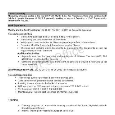 13742-Senior Accountant