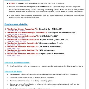 13535-Senior Accountant