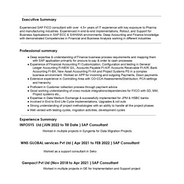 13699-SAP FICO