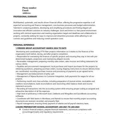 17249-Senior Accountant