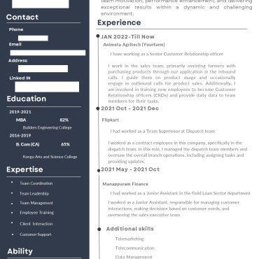 17286-Customer Support Executive