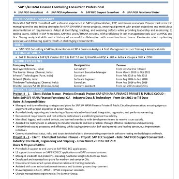 13802-Software Engineer