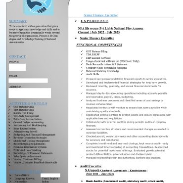13530-Senior Executive