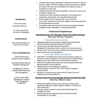 17005-Finance Manager