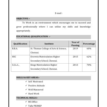 17147-Sales Executive