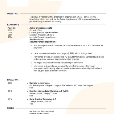 13466-Process Associate