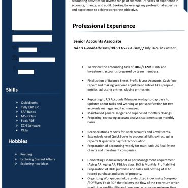 17433-Senior Accountant