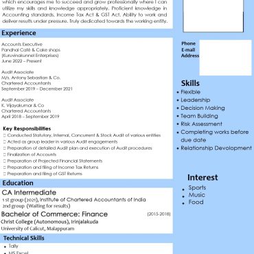 17486-Audit Coordinators