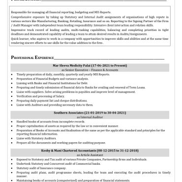17529-Senior Executive