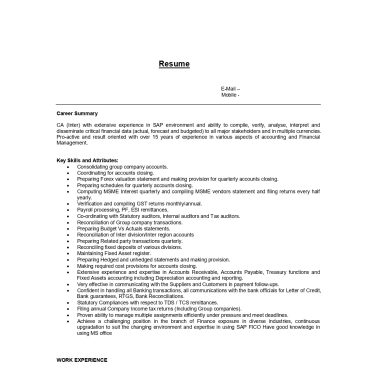 17521-Finance Manager