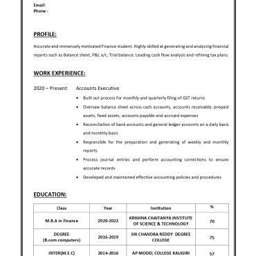 17539-Senior Accountant