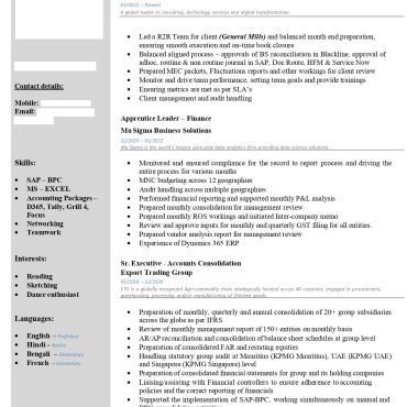 17398-Senior Accountant