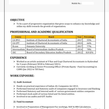 17563-Audit Coordinators/Semi Qualified Professional