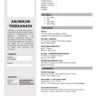 17593-Accountant Executive