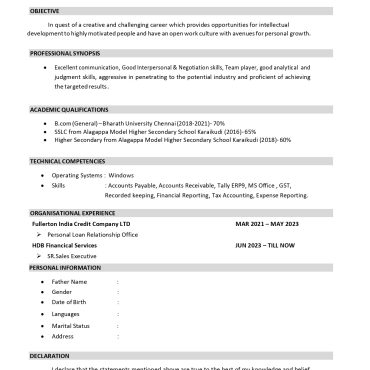 17638-Sales Executive