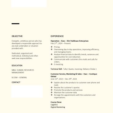17613-Sales Executive