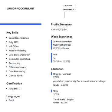17615-Junior Accountant