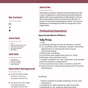 17595-Accountant Fresher